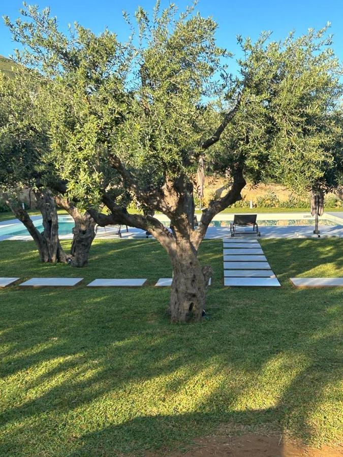 Civetta Blu Bed & Breakfast Castellammare del Golfo Bagian luar foto