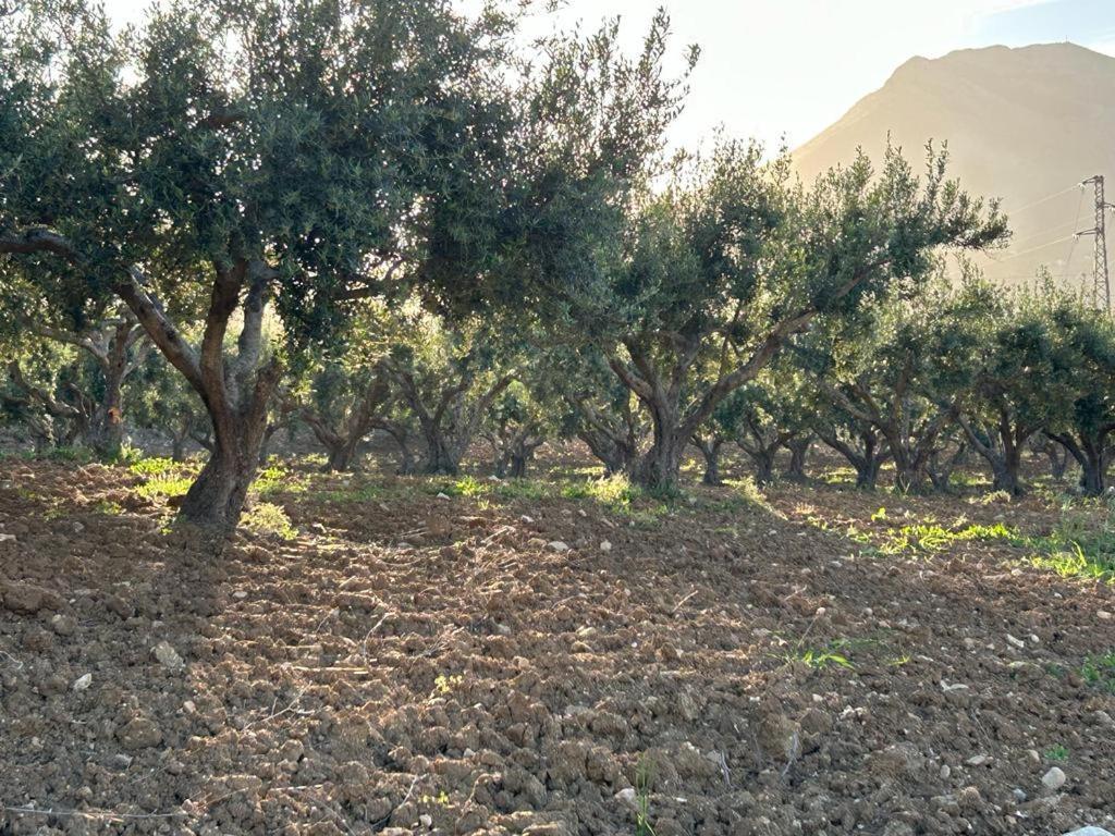 Civetta Blu Bed & Breakfast Castellammare del Golfo Bagian luar foto